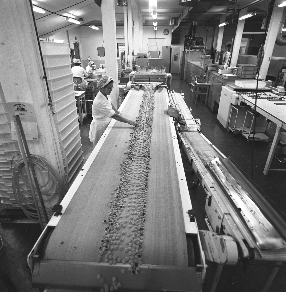 Serie bilder från Cloettas anläggning i Ljungsbro. Året var 1979.