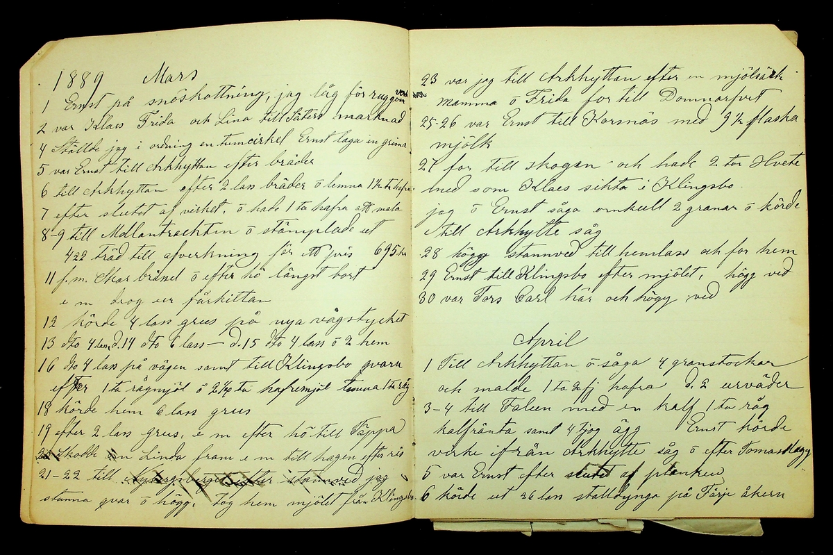 Dagbok åren 1889-1894 efter Hemmansägare Sigge Johan Gustaf Eriksson i Översätra, Stora Skedvi socken.