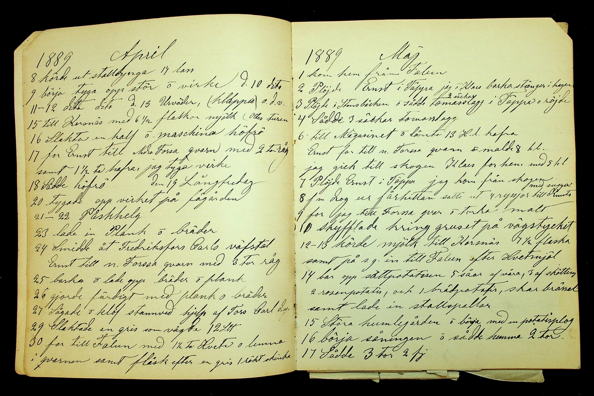 Dagbok åren 1889-1894 efter Hemmansägare Sigge Johan Gustaf Eriksson i Översätra, Stora Skedvi socken.