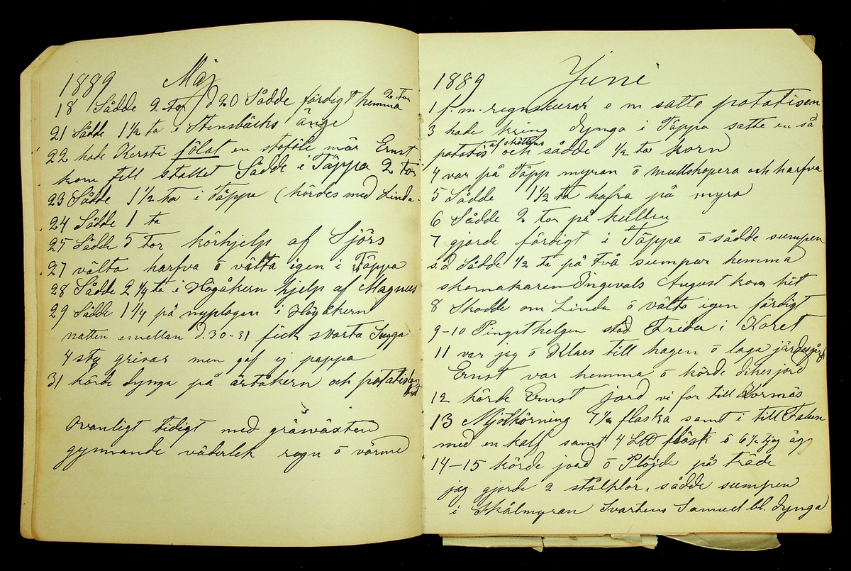 Dagbok åren 1889-1894 efter Hemmansägare Sigge Johan Gustaf Eriksson i Översätra, Stora Skedvi socken.