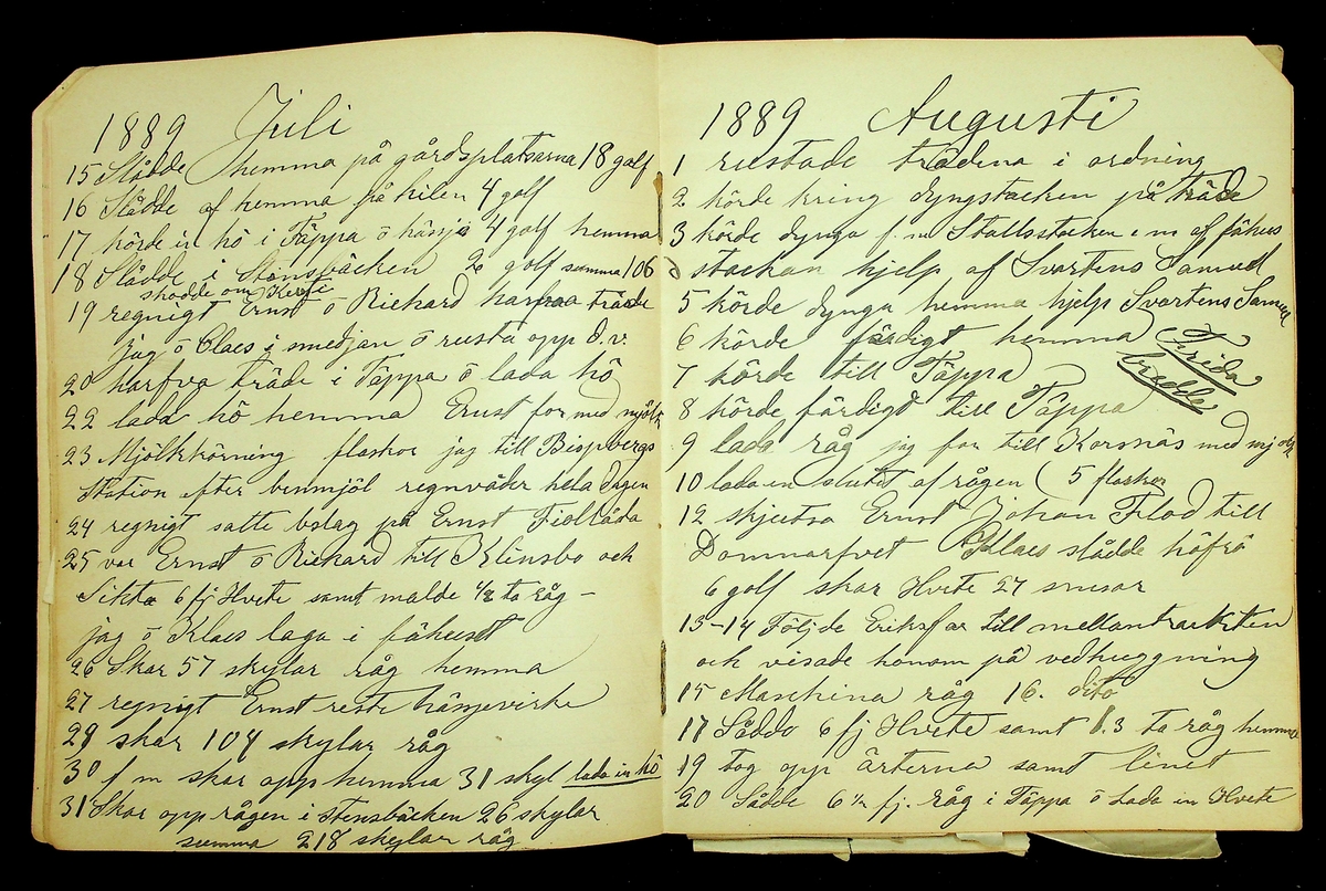 Dagbok åren 1889-1894 efter Hemmansägare Sigge Johan Gustaf Eriksson i Översätra, Stora Skedvi socken.
