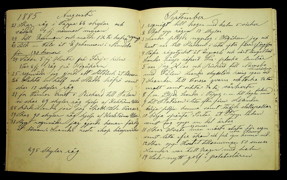 Dagbok åren 1885-1888 efter Hemmansägare Sigge Johan Gustaf Eriksson i Översätra, Stora Skedvi socken.