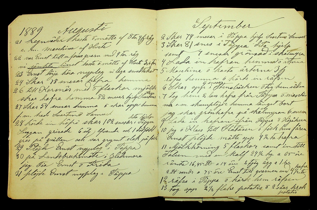 Dagbok åren 1889-1894 efter Hemmansägare Sigge Johan Gustaf Eriksson i Översätra, Stora Skedvi socken.