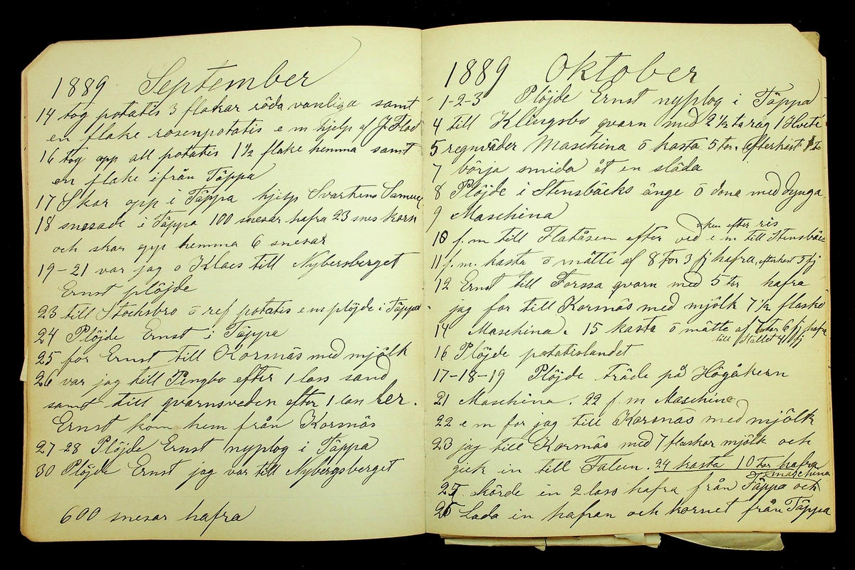 Dagbok åren 1889-1894 efter Hemmansägare Sigge Johan Gustaf Eriksson i Översätra, Stora Skedvi socken.