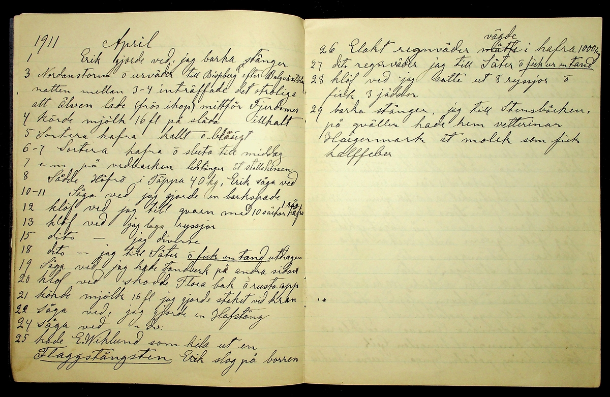 Dagbok år 1911 efter Hemmansägare Sigge Johan Gustaf Eriksson i Översätra, Stora Skedvi socken.