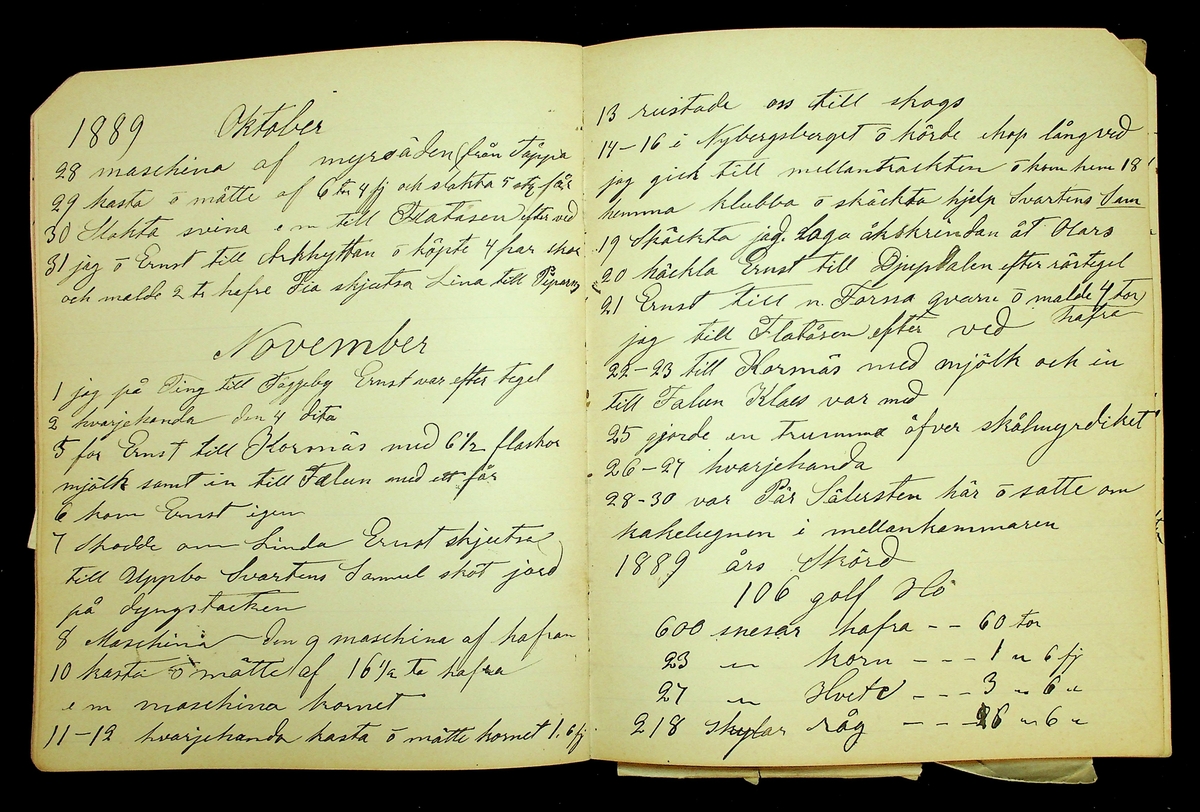 Dagbok åren 1889-1894 efter Hemmansägare Sigge Johan Gustaf Eriksson i Översätra, Stora Skedvi socken.