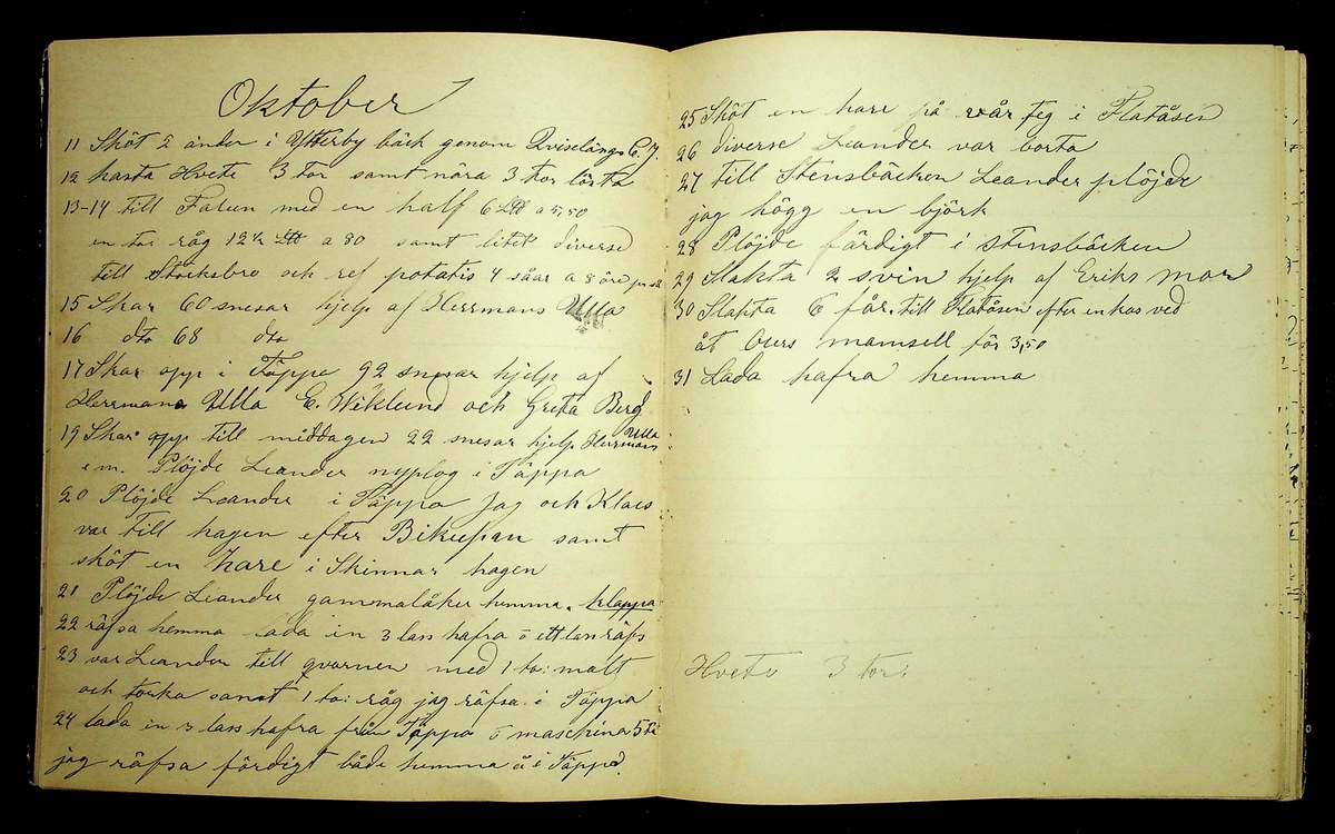 Dagbok åren 1885-1888 efter Hemmansägare Sigge Johan Gustaf Eriksson i Översätra, Stora Skedvi socken.