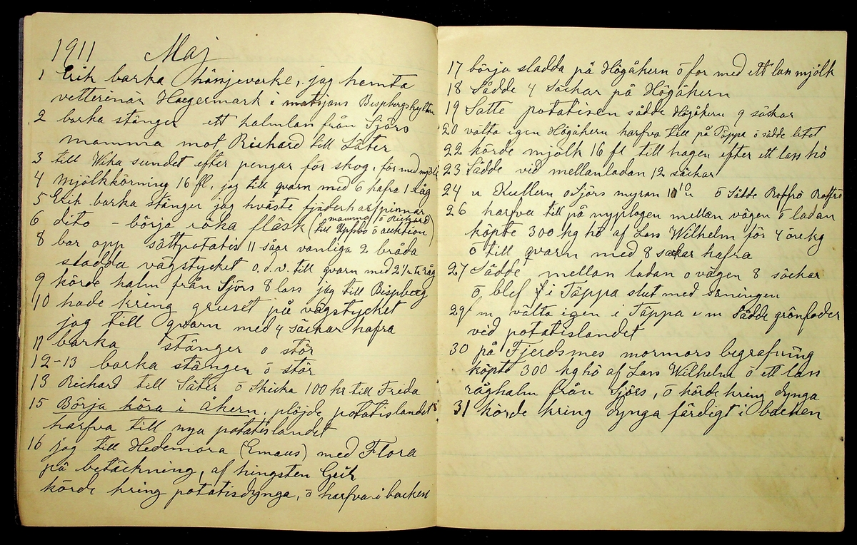 Dagbok år 1911 efter Hemmansägare Sigge Johan Gustaf Eriksson i Översätra, Stora Skedvi socken.