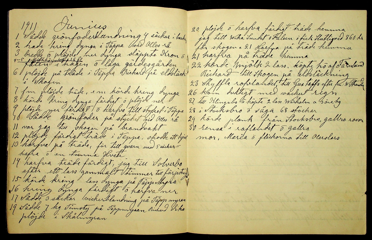 Dagbok år 1911 efter Hemmansägare Sigge Johan Gustaf Eriksson i Översätra, Stora Skedvi socken.