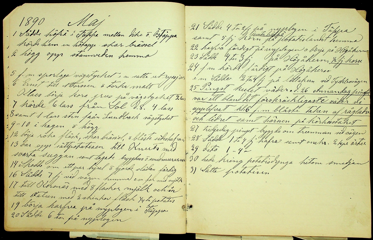 Dagbok åren 1889-1894 efter Hemmansägare Sigge Johan Gustaf Eriksson i Översätra, Stora Skedvi socken.