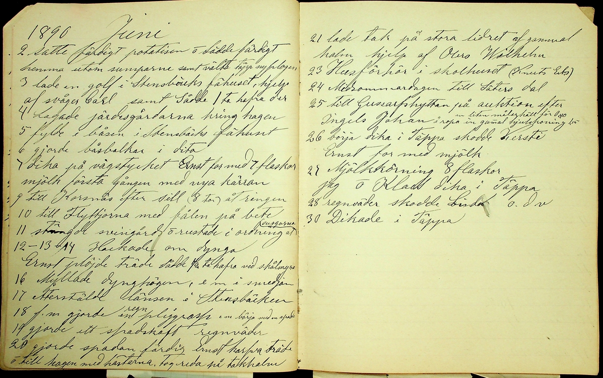 Dagbok åren 1889-1894 efter Hemmansägare Sigge Johan Gustaf Eriksson i Översätra, Stora Skedvi socken.