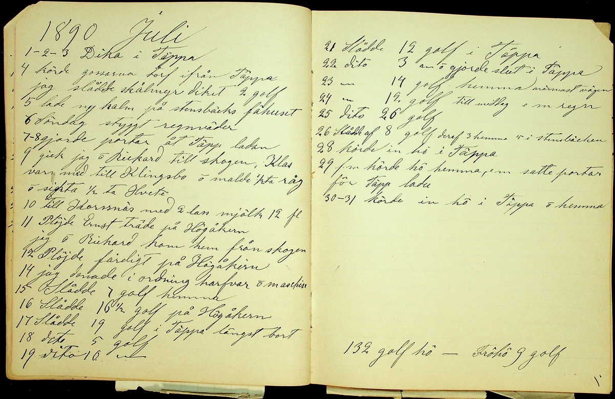 Dagbok åren 1889-1894 efter Hemmansägare Sigge Johan Gustaf Eriksson i Översätra, Stora Skedvi socken.