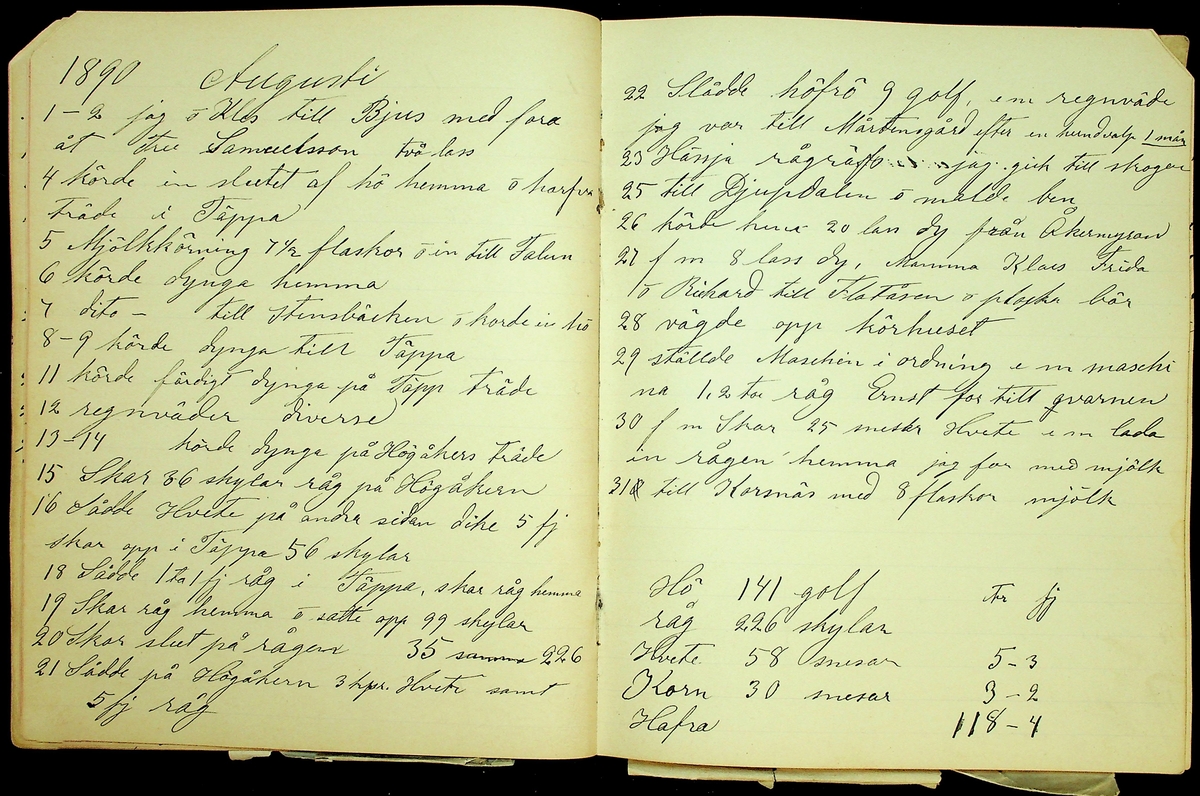 Dagbok åren 1889-1894 efter Hemmansägare Sigge Johan Gustaf Eriksson i Översätra, Stora Skedvi socken.