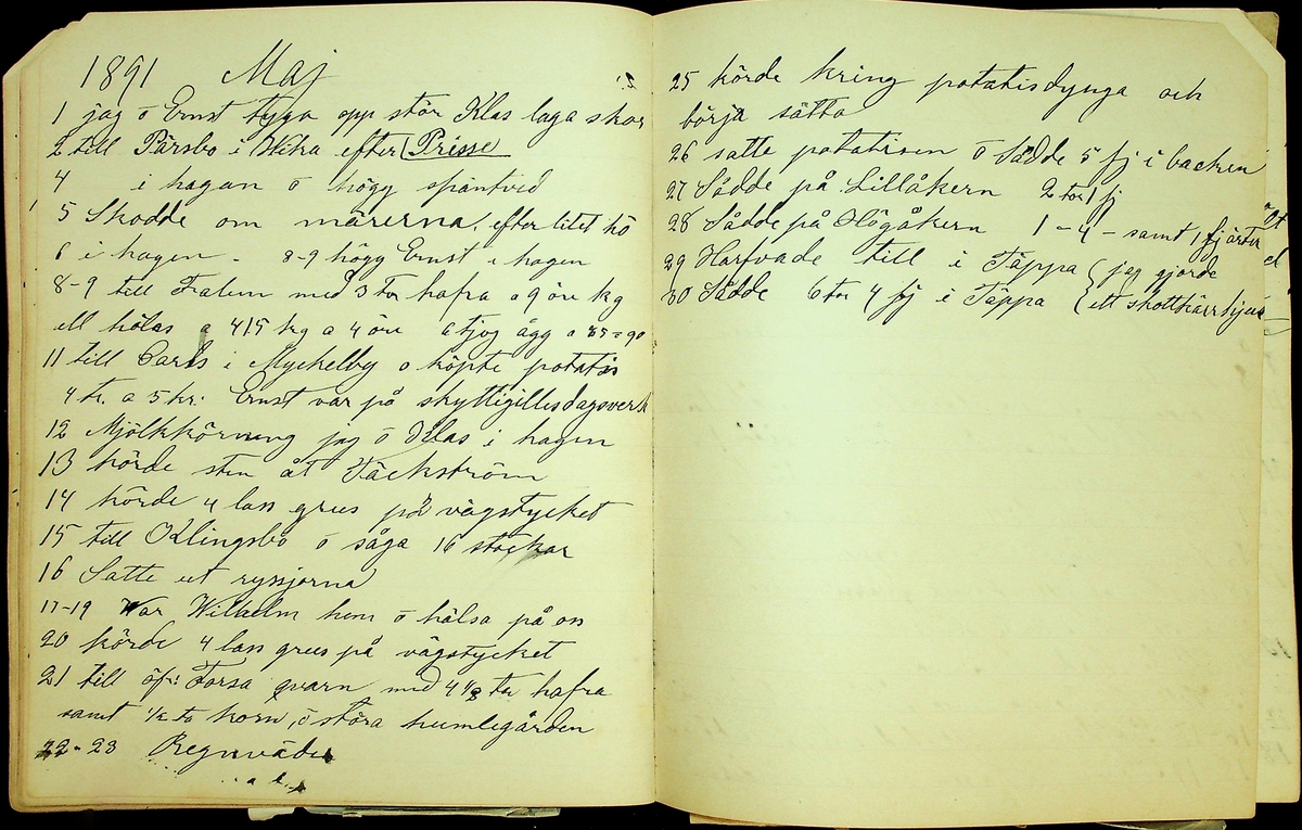 Dagbok åren 1889-1894 efter Hemmansägare Sigge Johan Gustaf Eriksson i Översätra, Stora Skedvi socken.