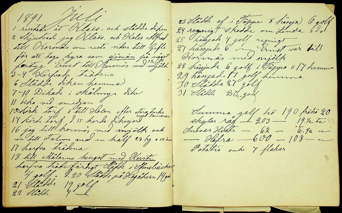 Dagbok åren 1889-1894 efter Hemmansägare Sigge Johan Gustaf Eriksson i Översätra, Stora Skedvi socken.