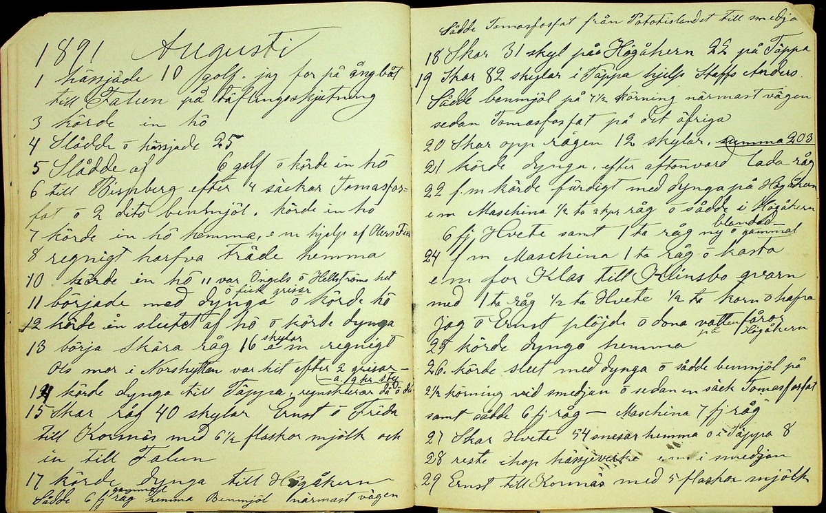 Dagbok åren 1889-1894 efter Hemmansägare Sigge Johan Gustaf Eriksson i Översätra, Stora Skedvi socken.