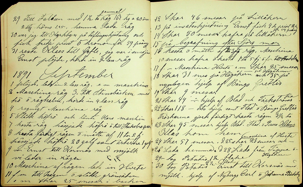 Dagbok åren 1889-1894 efter Hemmansägare Sigge Johan Gustaf Eriksson i Översätra, Stora Skedvi socken.