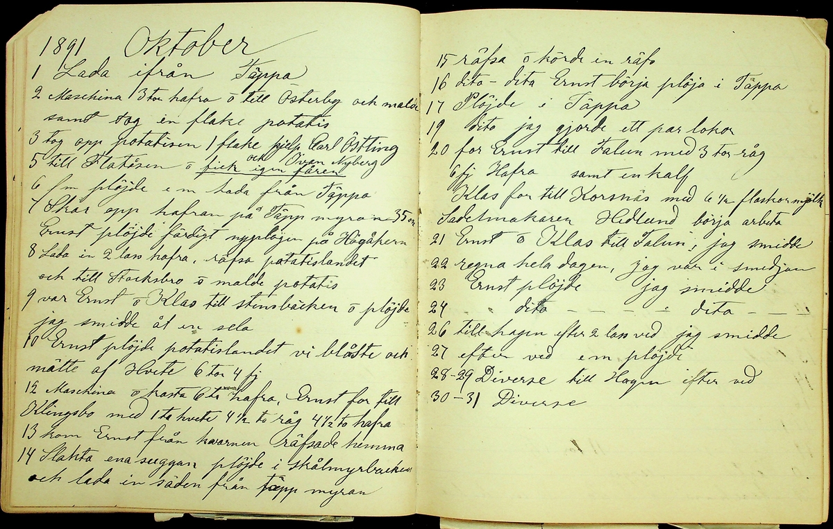 Dagbok åren 1889-1894 efter Hemmansägare Sigge Johan Gustaf Eriksson i Översätra, Stora Skedvi socken.
