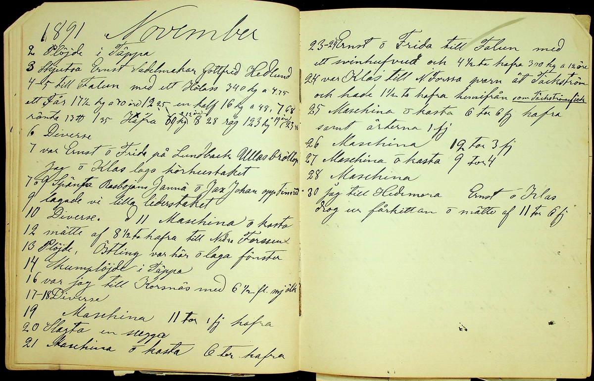 Dagbok åren 1889-1894 efter Hemmansägare Sigge Johan Gustaf Eriksson i Översätra, Stora Skedvi socken.