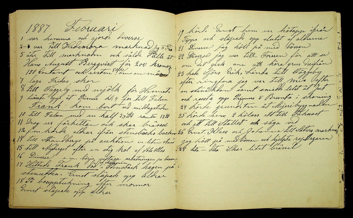 Dagbok åren 1885-1888 efter Hemmansägare Sigge Johan Gustaf Eriksson i Översätra, Stora Skedvi socken.