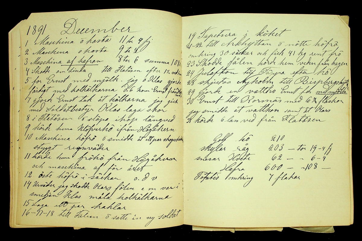 Dagbok åren 1889-1894 efter Hemmansägare Sigge Johan Gustaf Eriksson i Översätra, Stora Skedvi socken.
