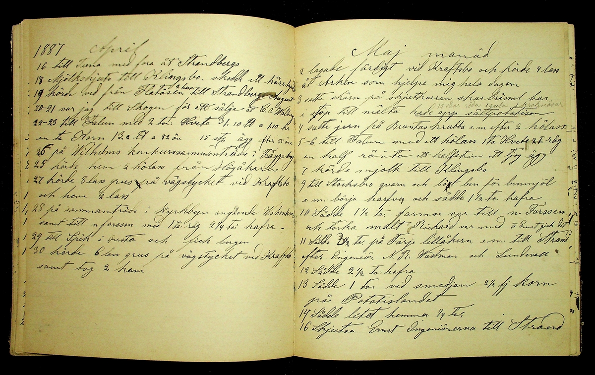 Dagbok åren 1885-1888 efter Hemmansägare Sigge Johan Gustaf Eriksson i Översätra, Stora Skedvi socken.