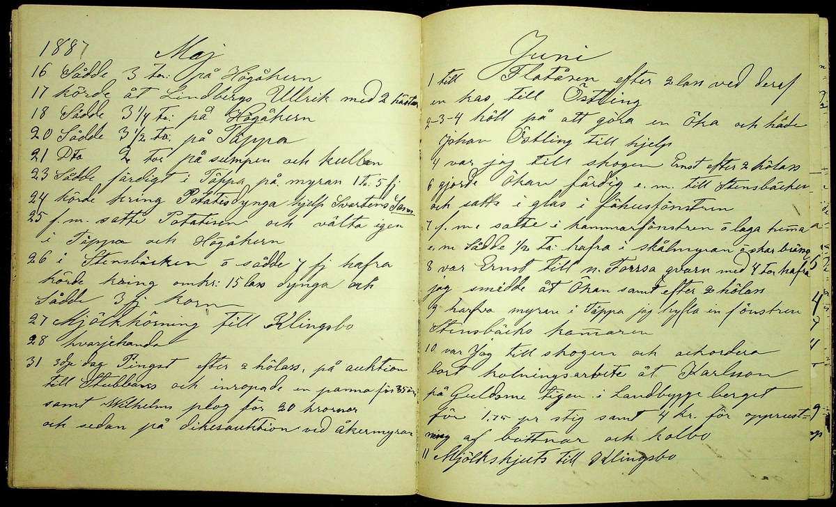 Dagbok åren 1885-1888 efter Hemmansägare Sigge Johan Gustaf Eriksson i Översätra, Stora Skedvi socken.
