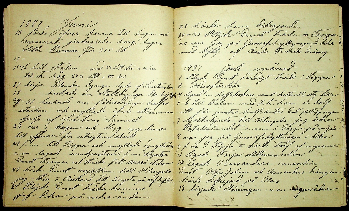 Dagbok åren 1885-1888 efter Hemmansägare Sigge Johan Gustaf Eriksson i Översätra, Stora Skedvi socken.