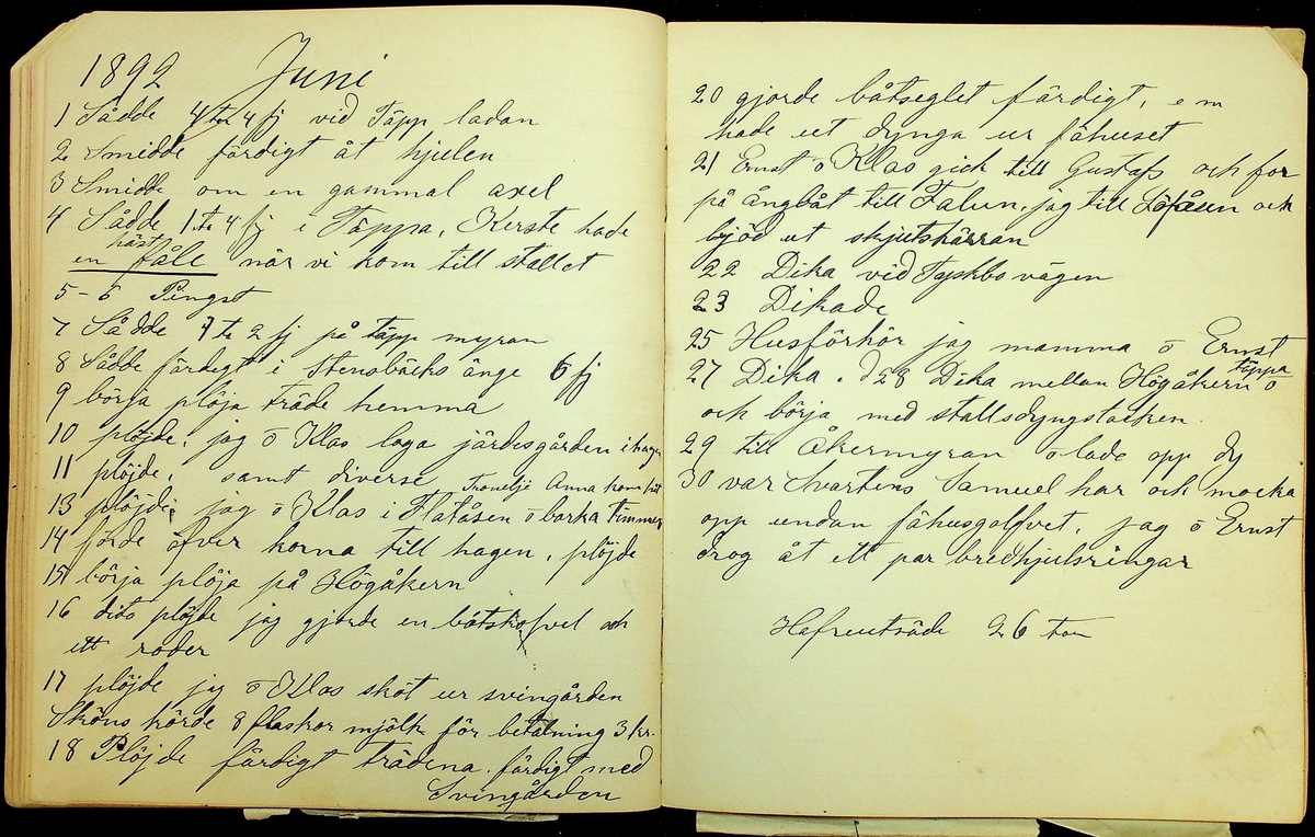 Dagbok åren 1889-1894 efter Hemmansägare Sigge Johan Gustaf Eriksson i Översätra, Stora Skedvi socken.