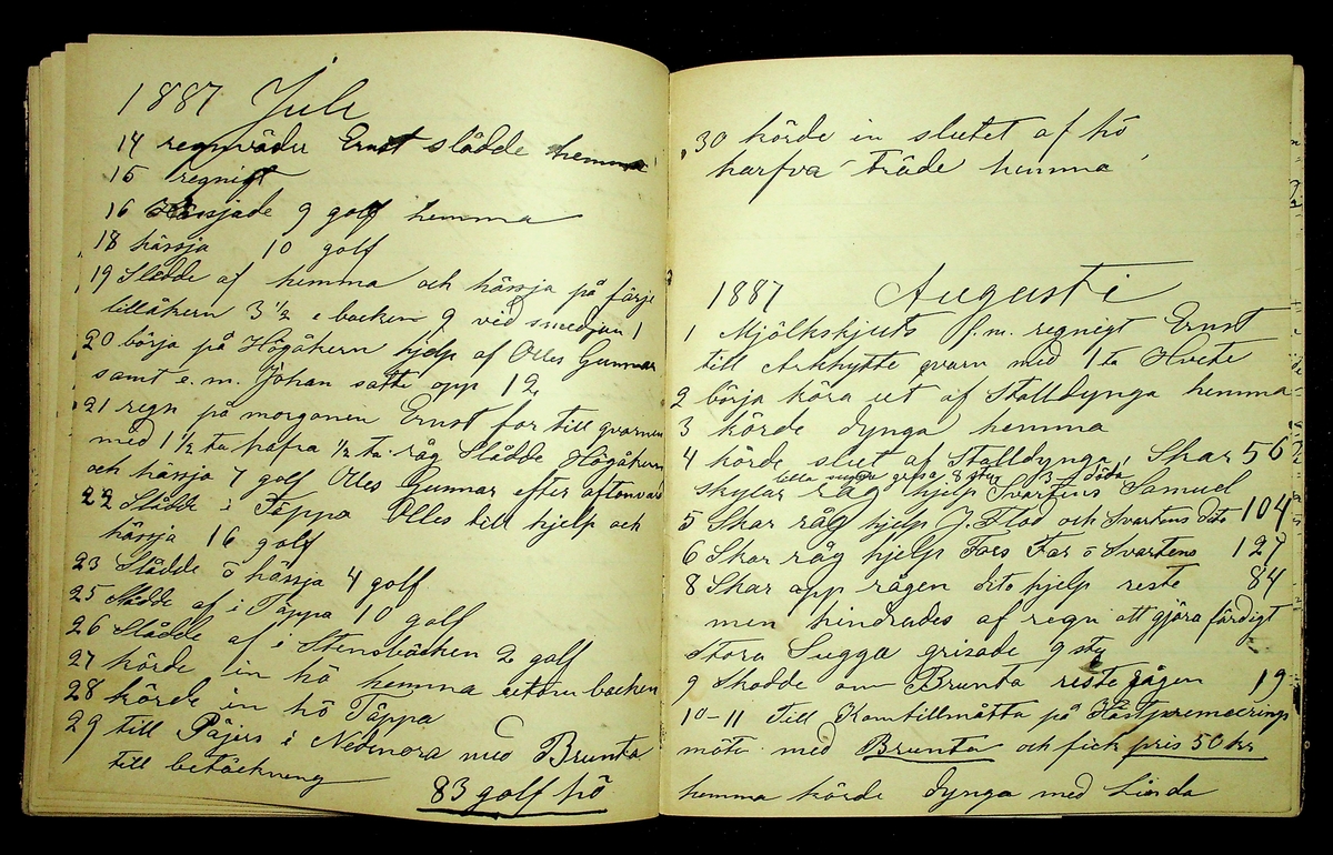 Dagbok åren 1885-1888 efter Hemmansägare Sigge Johan Gustaf Eriksson i Översätra, Stora Skedvi socken.