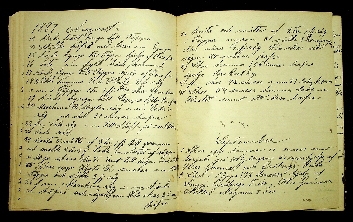 Dagbok åren 1885-1888 efter Hemmansägare Sigge Johan Gustaf Eriksson i Översätra, Stora Skedvi socken.