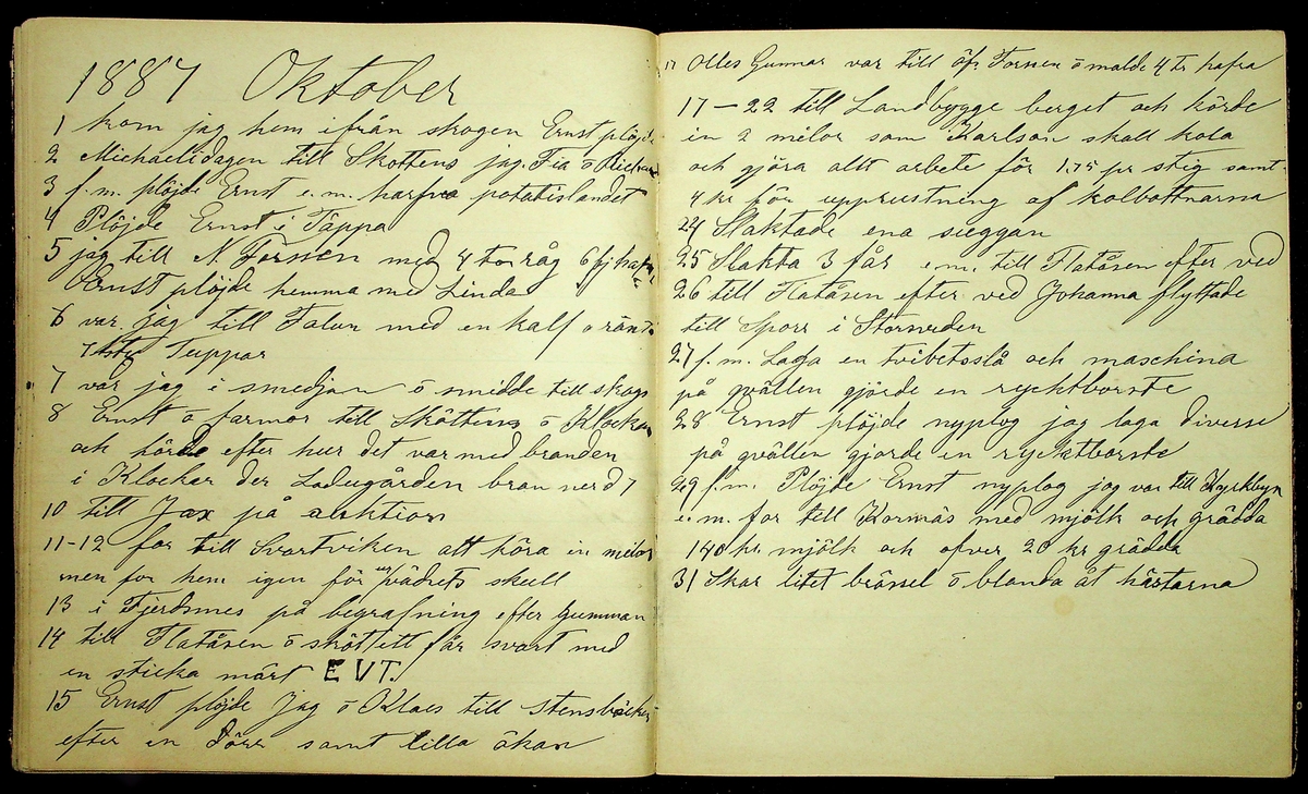 Dagbok åren 1885-1888 efter Hemmansägare Sigge Johan Gustaf Eriksson i Översätra, Stora Skedvi socken.