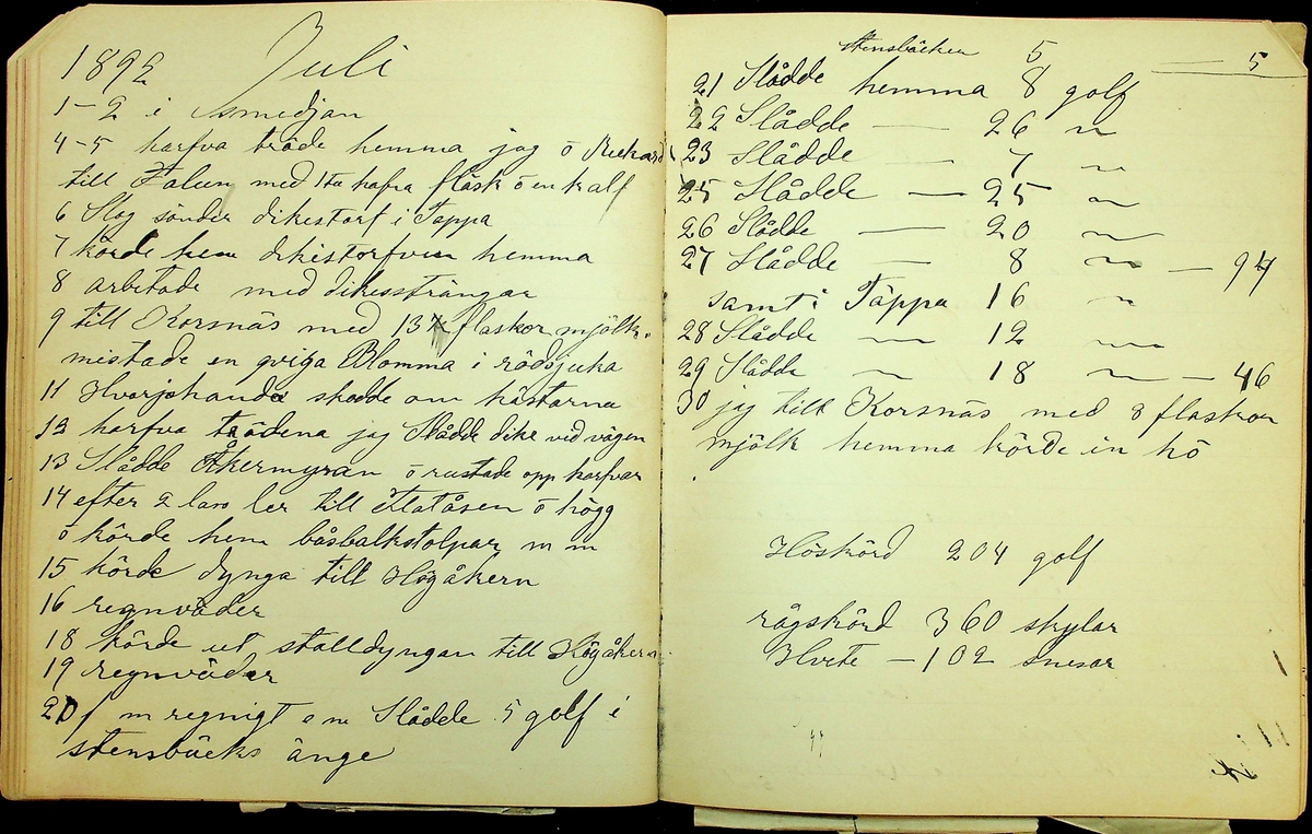 Dagbok åren 1889-1894 efter Hemmansägare Sigge Johan Gustaf Eriksson i Översätra, Stora Skedvi socken.