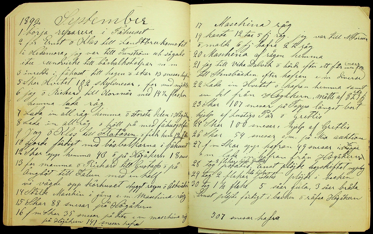 Dagbok åren 1889-1894 efter Hemmansägare Sigge Johan Gustaf Eriksson i Översätra, Stora Skedvi socken.