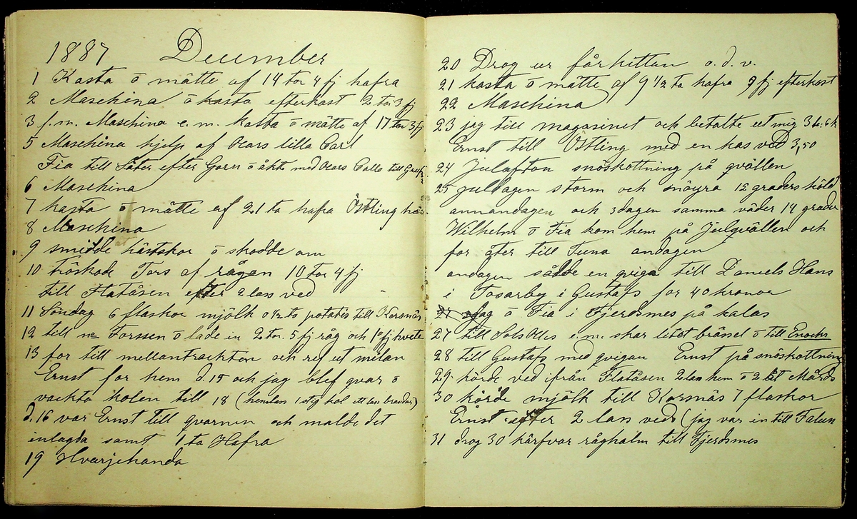 Dagbok åren 1885-1888 efter Hemmansägare Sigge Johan Gustaf Eriksson i Översätra, Stora Skedvi socken.