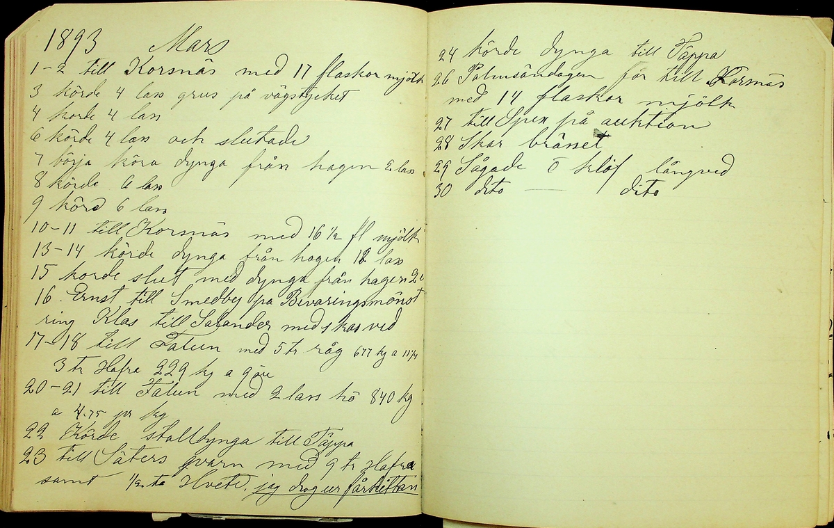 Dagbok åren 1889-1894 efter Hemmansägare Sigge Johan Gustaf Eriksson i Översätra, Stora Skedvi socken.