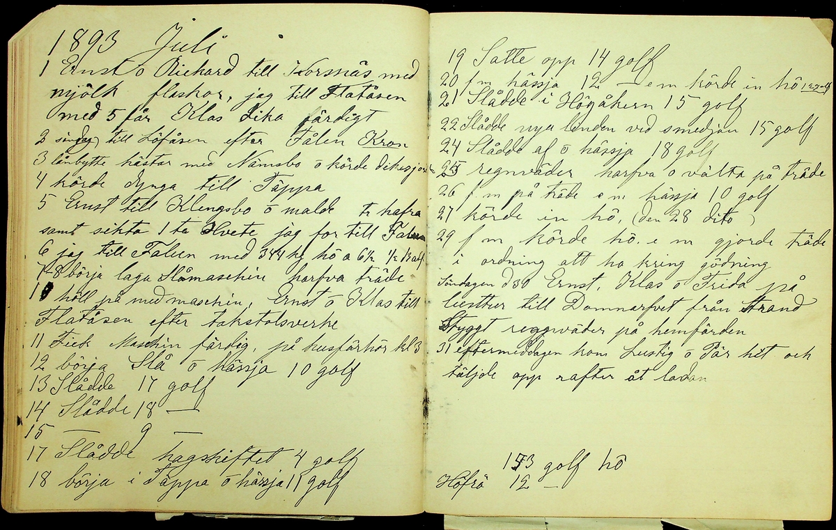 Dagbok åren 1889-1894 efter Hemmansägare Sigge Johan Gustaf Eriksson i Översätra, Stora Skedvi socken.