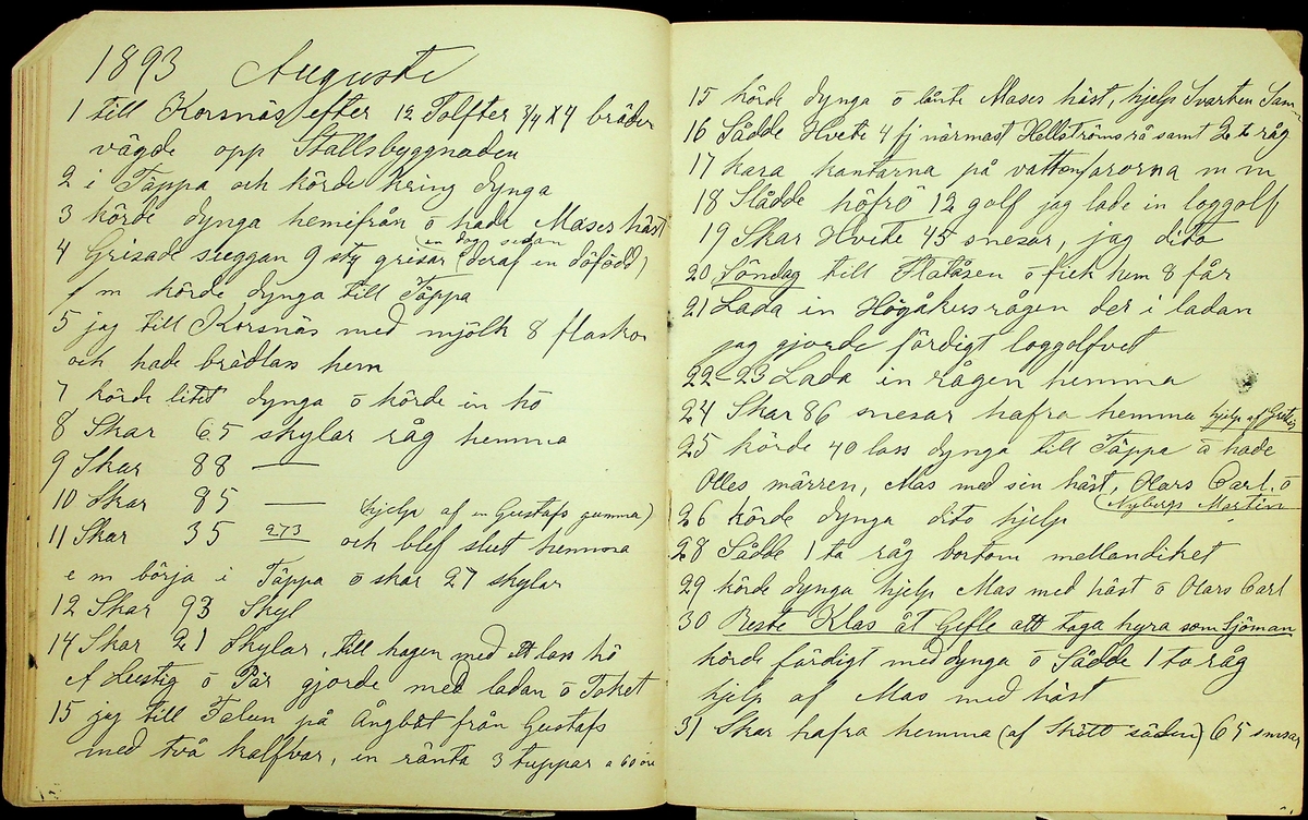 Dagbok åren 1889-1894 efter Hemmansägare Sigge Johan Gustaf Eriksson i Översätra, Stora Skedvi socken.