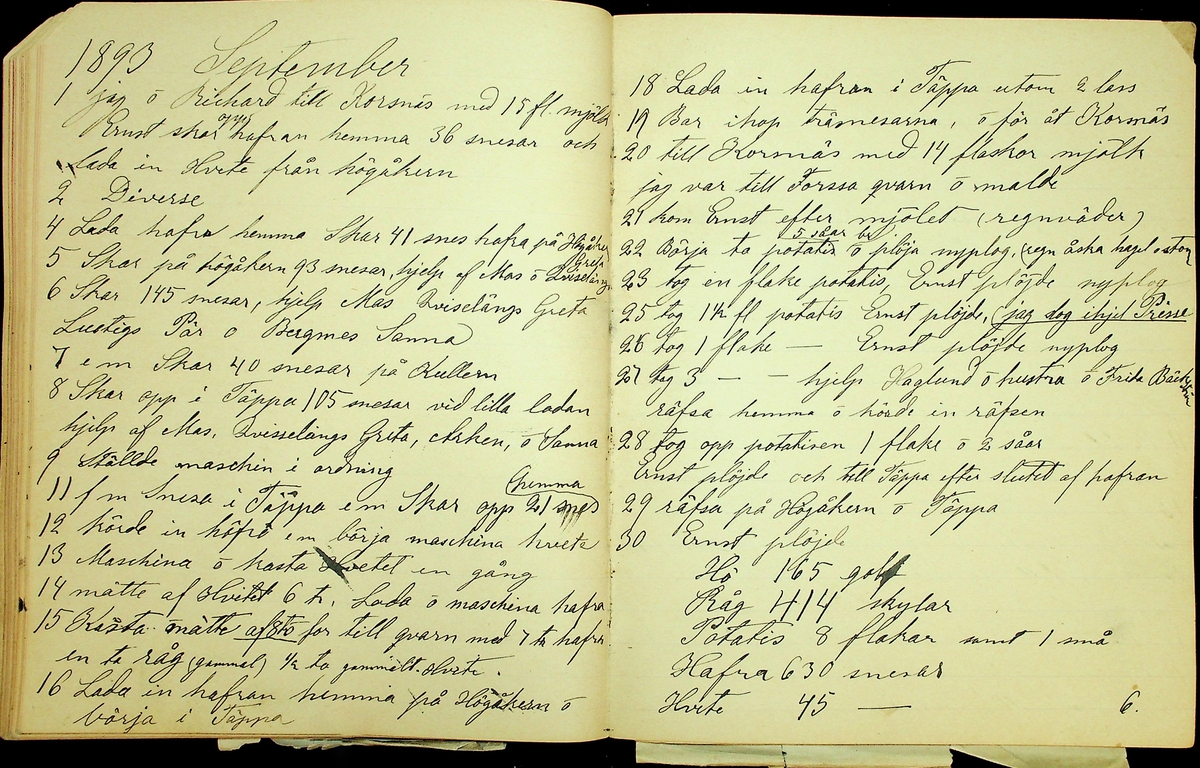 Dagbok åren 1889-1894 efter Hemmansägare Sigge Johan Gustaf Eriksson i Översätra, Stora Skedvi socken.