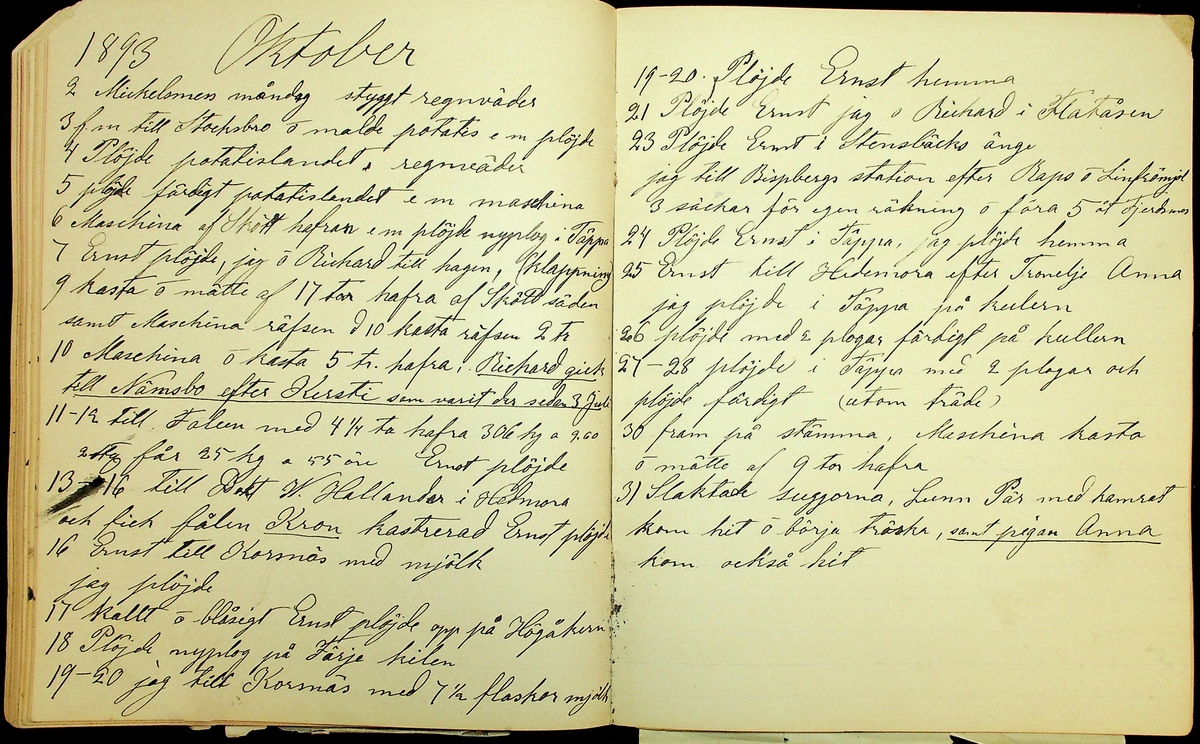 Dagbok åren 1889-1894 efter Hemmansägare Sigge Johan Gustaf Eriksson i Översätra, Stora Skedvi socken.