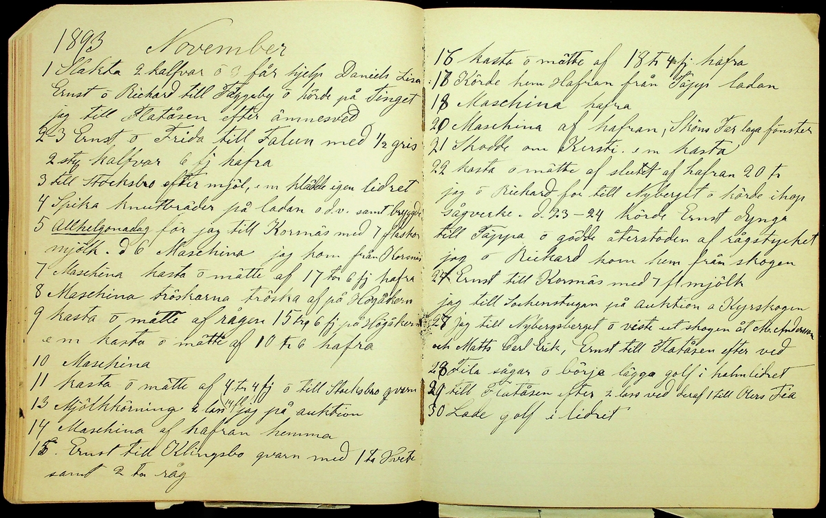 Dagbok åren 1889-1894 efter Hemmansägare Sigge Johan Gustaf Eriksson i Översätra, Stora Skedvi socken.