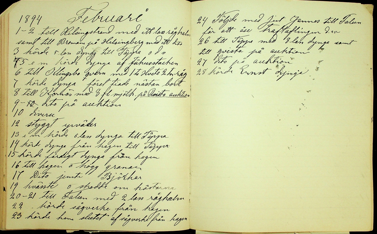 Dagbok åren 1889-1894 efter Hemmansägare Sigge Johan Gustaf Eriksson i Översätra, Stora Skedvi socken.
