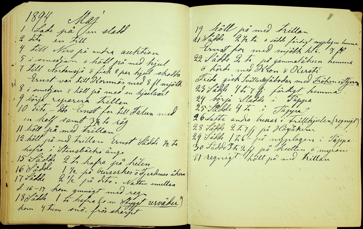 Dagbok åren 1889-1894 efter Hemmansägare Sigge Johan Gustaf Eriksson i Översätra, Stora Skedvi socken.