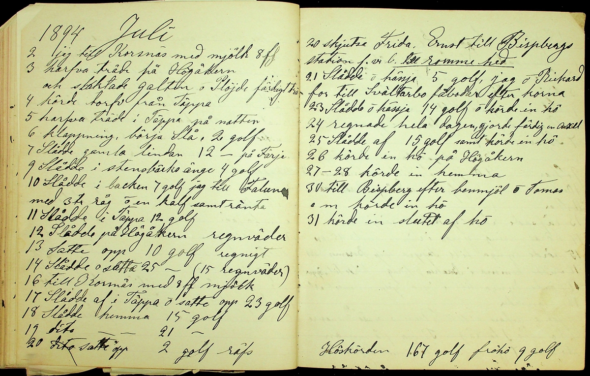 Dagbok åren 1889-1894 efter Hemmansägare Sigge Johan Gustaf Eriksson i Översätra, Stora Skedvi socken.
