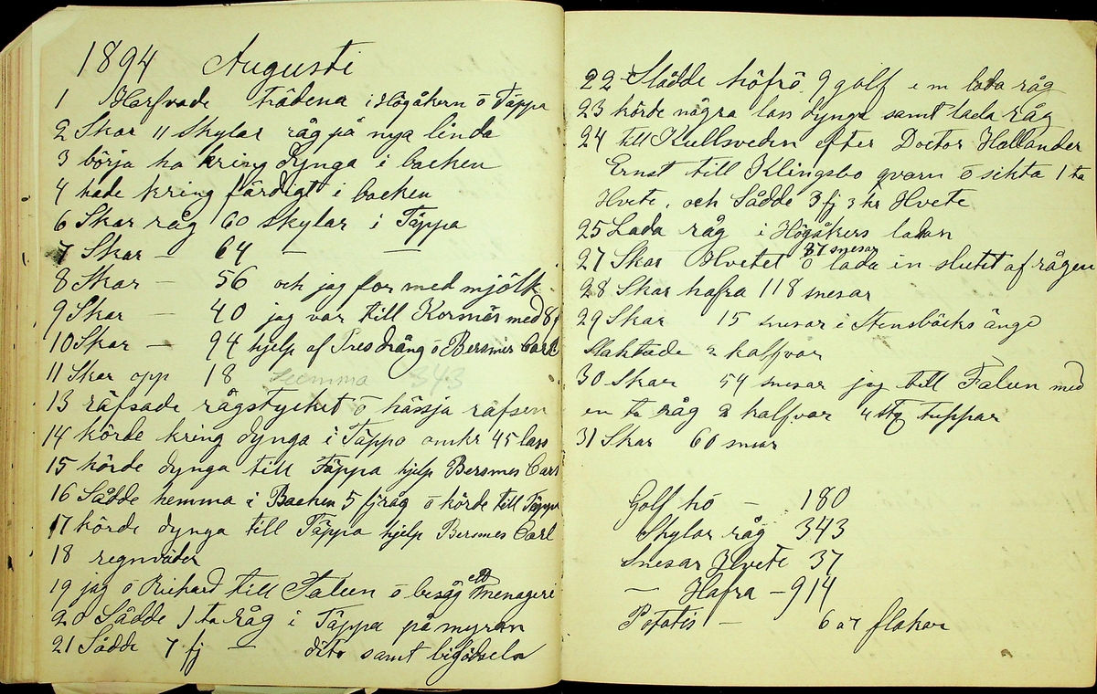 Dagbok åren 1889-1894 efter Hemmansägare Sigge Johan Gustaf Eriksson i Översätra, Stora Skedvi socken.