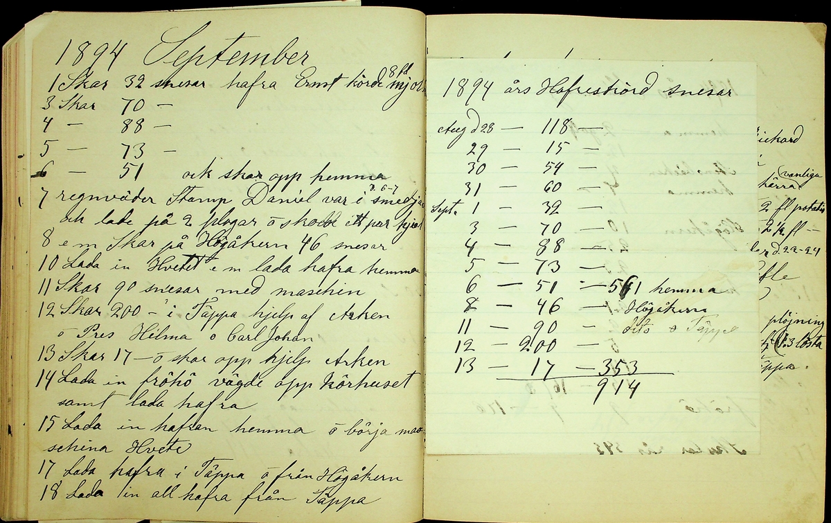 Dagbok åren 1889-1894 efter Hemmansägare Sigge Johan Gustaf Eriksson i Översätra, Stora Skedvi socken.