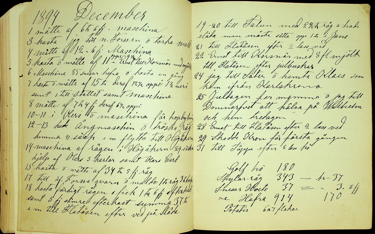 Dagbok åren 1889-1894 efter Hemmansägare Sigge Johan Gustaf Eriksson i Översätra, Stora Skedvi socken.