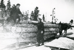 Tømmerkjøring med hest. Personene på bildet fra venstre er: 