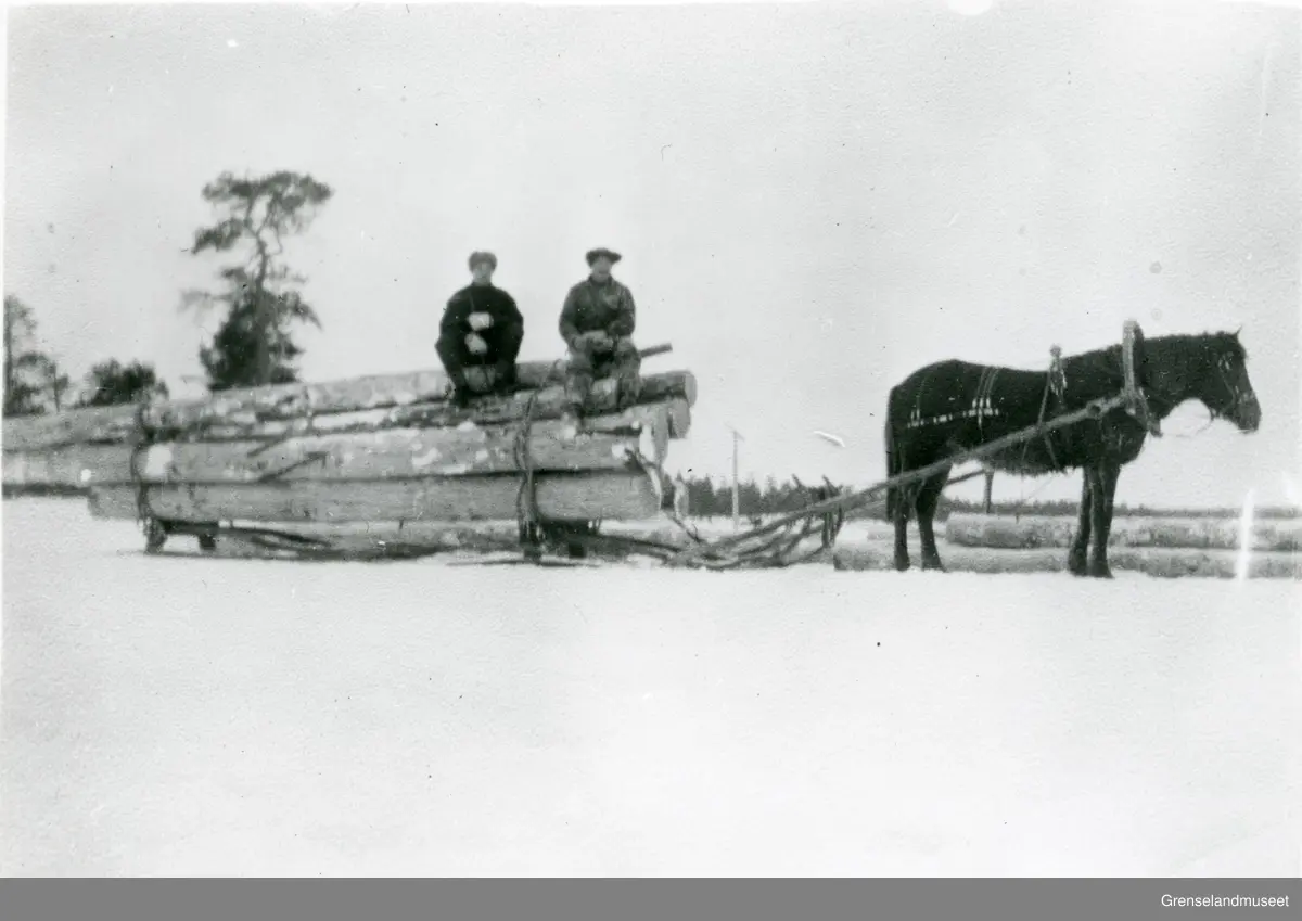 Jossi Beddari. Tømmertransport med hest i Pasvikdalen.  Pasvik Timber. Finsk seletøy og finsk doning.
