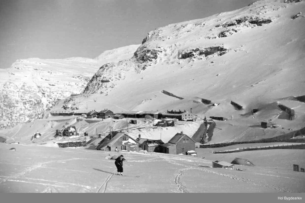 Jernbanestasjon, Myrdal, skiløypar, NSB, vinter, bygningar,